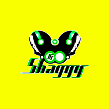Dj Shaggy Venezuela