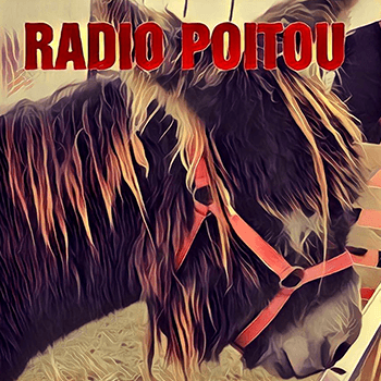 Radio Poitou